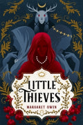Little Thieves : The astonishing fantasy fairytale retelling of The Goose Girl