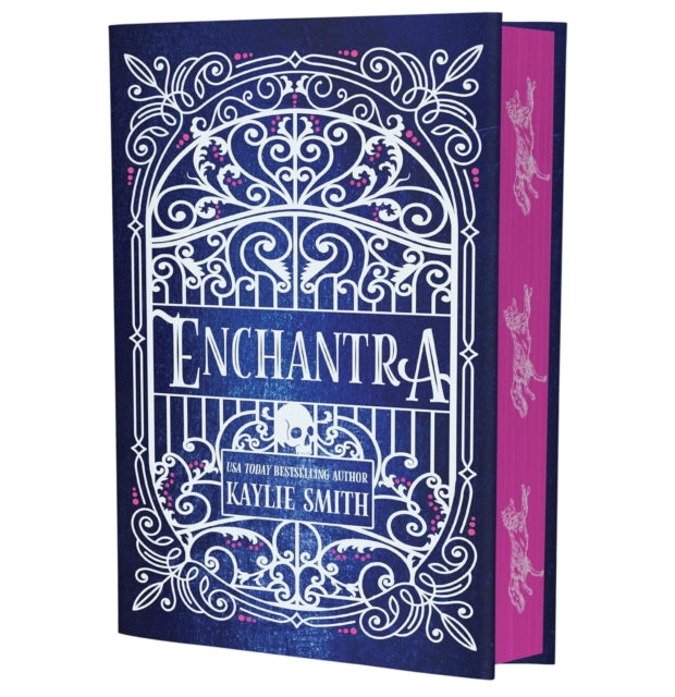 Enchantra : A spicy fantasy romance-9781836186717
